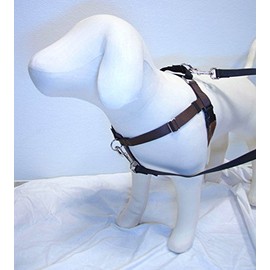 Freedom No-Pull Harness and 4-Configuration Training Leash Package (1" Wide X-Large (30"-38"), Brown w/Black Loop)