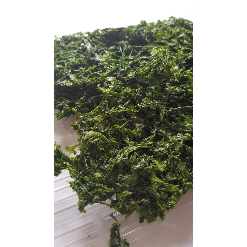 Aosari Nori from Ise, Mie Prefecture (Tortoise Shell Blue Laver)
