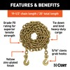CURT 80307 20-Foot Transport Binder Chain, 5/16-Inch Clevis Hooks, 18,800