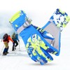 Winter Outdoor Ski Waterproof Wind Ventilation Thickened Warm Gloves(Blue XL)