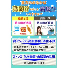 &WELL ちょうかつ イヌリン チコリ由来の20倍の溶解性 有機アガベ 粉末をギュッと固めたタブレット186粒(1)