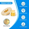 luxlead Brass Boat Drain Plug Kit, 1/2 Inch NPT Marine