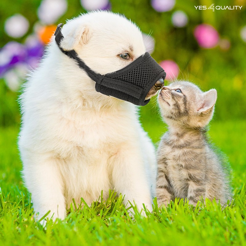 Yes4Quality Dog Muzzle (Medium), Soft & Breathable Mesh Muzzle for