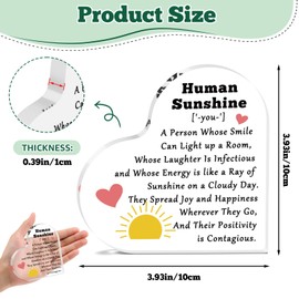 Inspirational Plaque Gifts for Friend Coworker Motivational Gift for Women Men Employees Teacher Staff Nurse Appreciation Acrylic Keepsake Leader Coach Mentor Desk Office Decorations for Sister