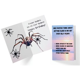 55 Laughs Scary Funny Spider Birthday Card | Prank Birthday Card With Spiders That Fall Out Of It | Funny Birthday Card For Anyone Who Hates Spiders | Gag Happy Birthday Card With Falling Spiders