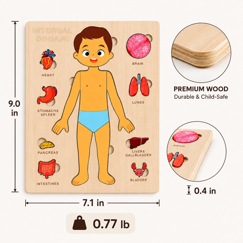Wooden Human Body Puzzle for Kids - Removable Organ Pieces