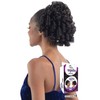 Shake-N-Go Updo Elegant Ponytail (JET BLACK 1)