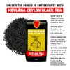 Mevlâna Pure Ceylon Black Tea – Luxurious Hand-Picked Blend, Premium