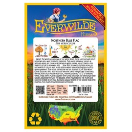 Everwilde Farms - 15 Northern Blue Flag Native Wildflower Seeds - Gold Vault Jumbo Seed Packet