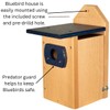 Cedar Standard Bluebird House (Blue)