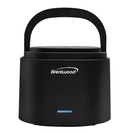Brentwood 110V 50W 0.6L Portable Leakproof Electric Lunch Box Food Warmer (Black)
