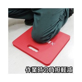 ASTRO PRODUCTS 03-05998 Cushion Sheet, Red 03-05998