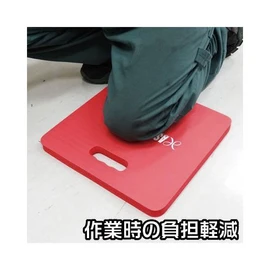 ASTRO PRODUCTS 03-05998 Cushion Sheet, Red 03-05998