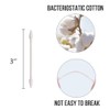 200 Pieces Cotton Swabs, Double Precision Tips with Paper Stick