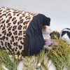 Leopard Print Small Animal Hideout - Tunnel and Tube Cage