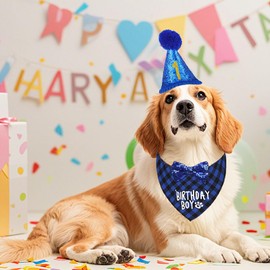 AgoumLux Dog Birthday Party Supplies, Dog Birthday Bandana and Party Hat Set with Numbers Bow Tie Collar for Small Medium Large Pet,Blue, S