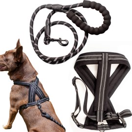 Zenify Pets Dog Harness Lead Set - Chest Vest Cross Adjustable Reflective for Puppy Small Dogs (Black 5ft Small)…