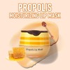 KYDA 2 Pcs Honey Balm Lip Mask Lip Balm Honey
