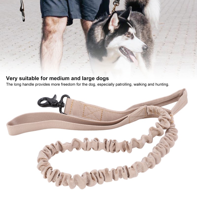 Heavy Duty Bungee Dog Leash Elastic Leads Rope with 2
