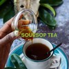 Premium Soursop Tea Bags - Soursop Tea Leaves - Dried