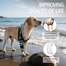 HAPPYHAO Dog Knee Brace for Torn ACL Hind Leg, Adjustable Four-Legged Universal Dog Knee Brace for Arthritis, Patellar Luxation, Hip Dysplasia, Relieve Joint Pain and Ligament Damage,S