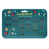 Ladybird Stick On Earrings (30 pairs)