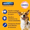 PEDIGREE - Snack para Perros Adultos Dentastix, Razas Pequeñas, Cuidado