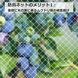 Bird Blocking Net for Balconies, Crows & Dove Countermeasures, Bird Net, Fruit Trees, Vegetable Cultivation, Beast Barrier Net, Cat Intrusion and Escape Prevention, Size: 8 ft 2 inches x 16 ft 5 inches (2.5 x 5 m), Color: Transparent (Includes 15 Cable Ties)