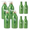 TS Shampoo Gold Plus TS Shampoo Special Set 500x4+100x4 / TS 샴푸 골드플러스 티에스 샴푸 기획세트 500x4+100x4