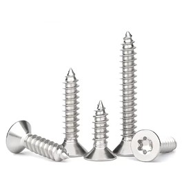 FandWay 125Pcs Torx Self-Tapping Screws,M3 Small Wood Screws Kit Flat/Countersunk Torx Security Anti-Theft Screw,304 Stainless Steel Self Drilling Sheet Metal Screw With 1 Bits for DIY Wood Repairs.