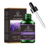 Organic Lavender Essential Oil, Scented Oils with Organic Aromatherapy 100%