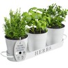 Barnyard Designs Indoor Herb Garden Planter Set with Tray, Metal