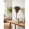 AAYU Ostrich Feather Duster 22-24" inches | Natural Feathers Duster