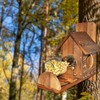 Squirrel Feeder with Ladder, Wood Squirrel Feeders for Outside, Funny