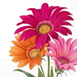 IHR Ideal Home Range - Servilletas desechables de papel de 3 capas, 16,5 x 16,5 cm, alegre gerbera (blanco), 20 unidades
