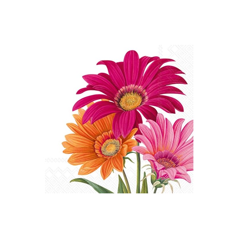 IHR Ideal Home Range - Servilletas desechables de papel de