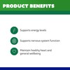 Cenovis B Complex - Support Energy Levels and Nervous System