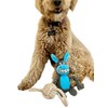 Dog Squeak Toys (Blue)
