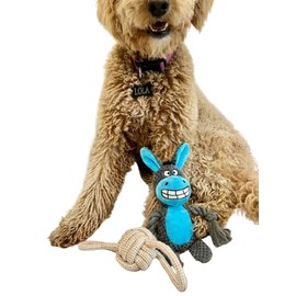 Dog Squeak Toys (Blue)