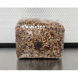 Booming Acres Booming Grains | 3lb Sterile Custom Grain Blend Including Injection Port| Sterile Hydrated Grains for Growing Mushrooms
