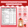 Iron Supplement Gummies for Kids, Kids Multivitamin with Iron -