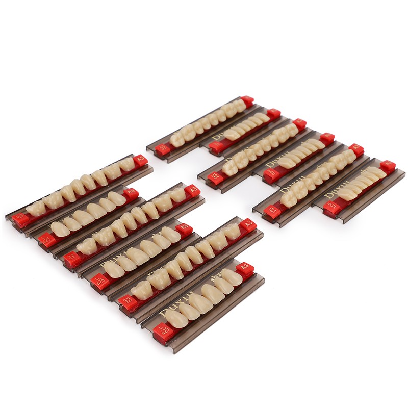 Dental Synthetic Resin False Teeth Dental Material Teeth Denture Dentist