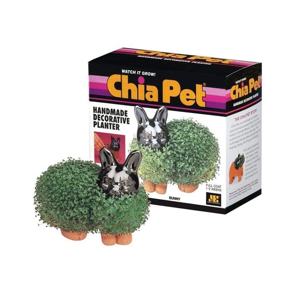Chia Pet Bunny - Multi Planter - Grow a Chia Pet Bunny or Your Favorite Plant