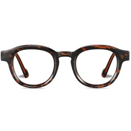 FancyFlower Reading Glasses for Women and Men – Lightweight Readers for Computer, Reading, and TV Use 2.5x Readers