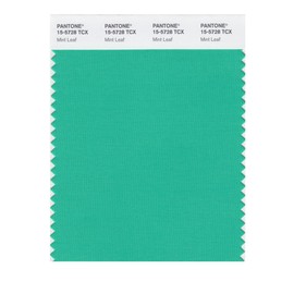 PANTONE Smart 15-5728X Color Swatch Card, Mint Leaf