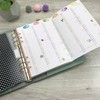 SinnWunder® 2026 Premium Calendar Inserts - Year Plan - Leporello