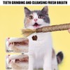 Fc'Noqgn 2 Catnip Sticks, Cat Sticks, Matatabi Kausticks, Interaktives Katzenspielzeug,