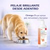 Aceite De Salmón Omega 3 Y 6 Para Perros Y
