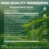All-in-1 Saw Palmetto Supplements, Vegan, USA Made (60Count (Pack of