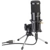auvisio Microphone: Set of 2 Professional USB Condenser Microphones, High-Performance,